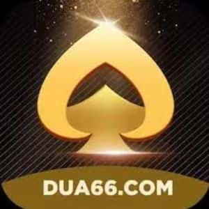 dua66 Logo